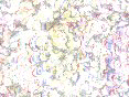 xm008108.gif