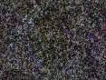 xm008107.gif