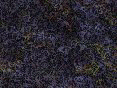 xm008106.gif