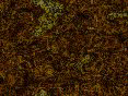 xm008104.gif