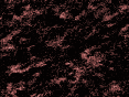 xm008100.gif