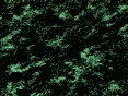 xm008098.gif
