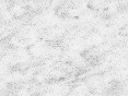 xm008093.gif