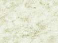 xm008092.gif