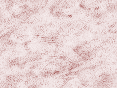 xm008091.gif