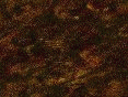 xm008089.gif