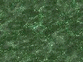 xm008088.gif