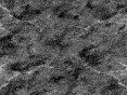 xm008087.gif