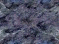 xm008086.gif
