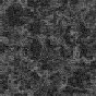 xm008080.gif