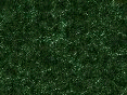 xm008074.gif