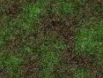 xm008069.gif