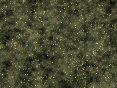 xm008063.gif