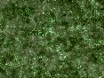 xm008056.gif
