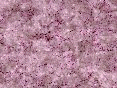 xm008054.gif