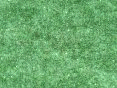 xm008053.gif