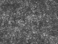 xm008052.gif
