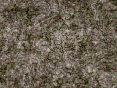 xm008051.gif