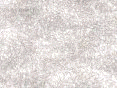 xm008047.gif