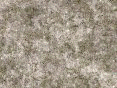 xm008046.gif