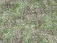 xm008043.gif