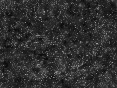 xm008042.gif