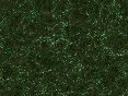 xm008040.gif