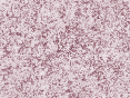 xm008039.gif