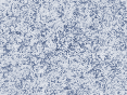 xm008038.gif
