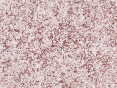 xm008037.gif