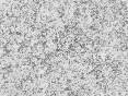 xm008035.gif