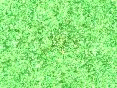 xm008034.gif