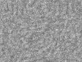 xm008025.gif