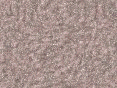 xm008024.gif