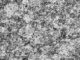 xm008023.gif