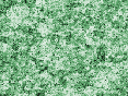 xm008021.gif