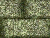 xm008017.gif