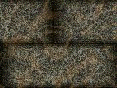 xm008013.gif