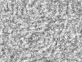 xm008010.gif