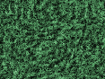 xm008009.gif