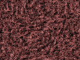 xm008008.gif