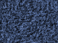 xm008006.gif