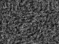 xm008005.gif
