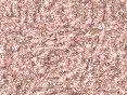 xm008003.gif