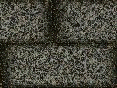 xm008002.gif