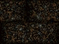 xm008000.gif