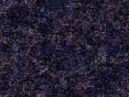xm007999.gif