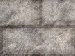 xm007996.gif
