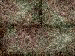 xm007995.gif