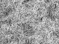 xm007994.gif